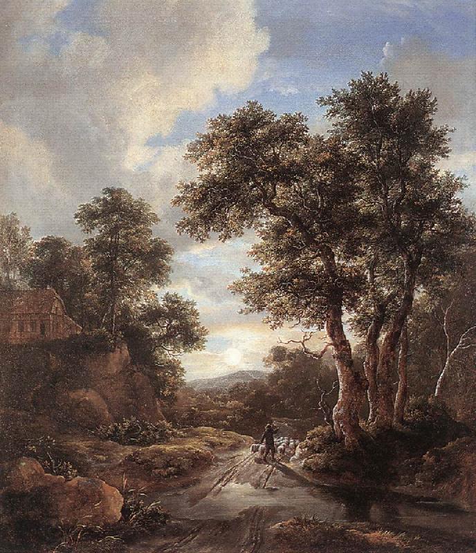 RUISDAEL, Jacob Isaackszon van Sunrise in a Wood at oil painting picture